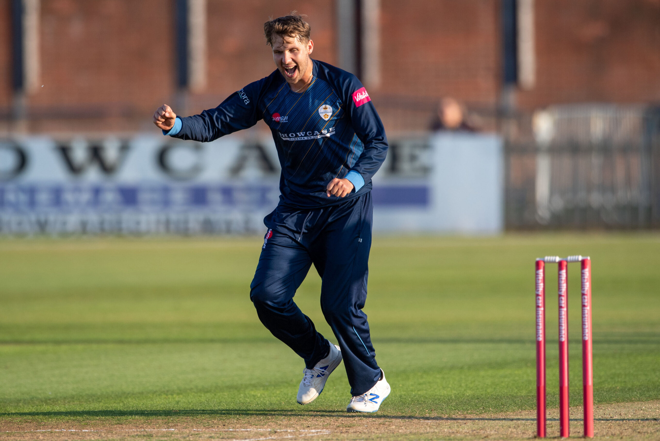 Falcons beaten by Leicestershire Foxes