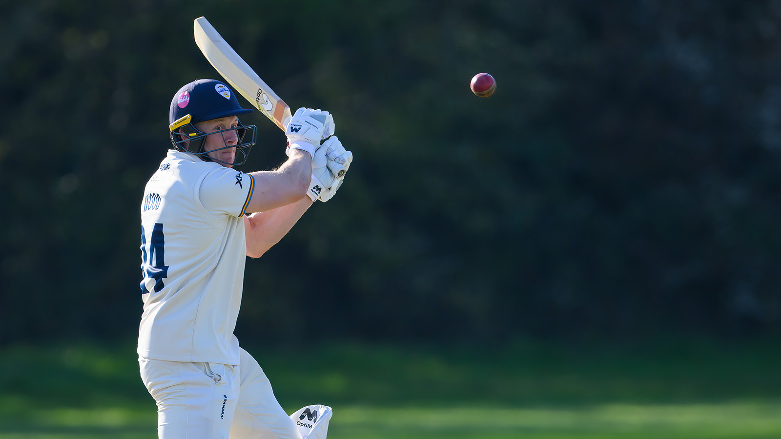 Second XI: Derbyshire dominate at Lady Bay