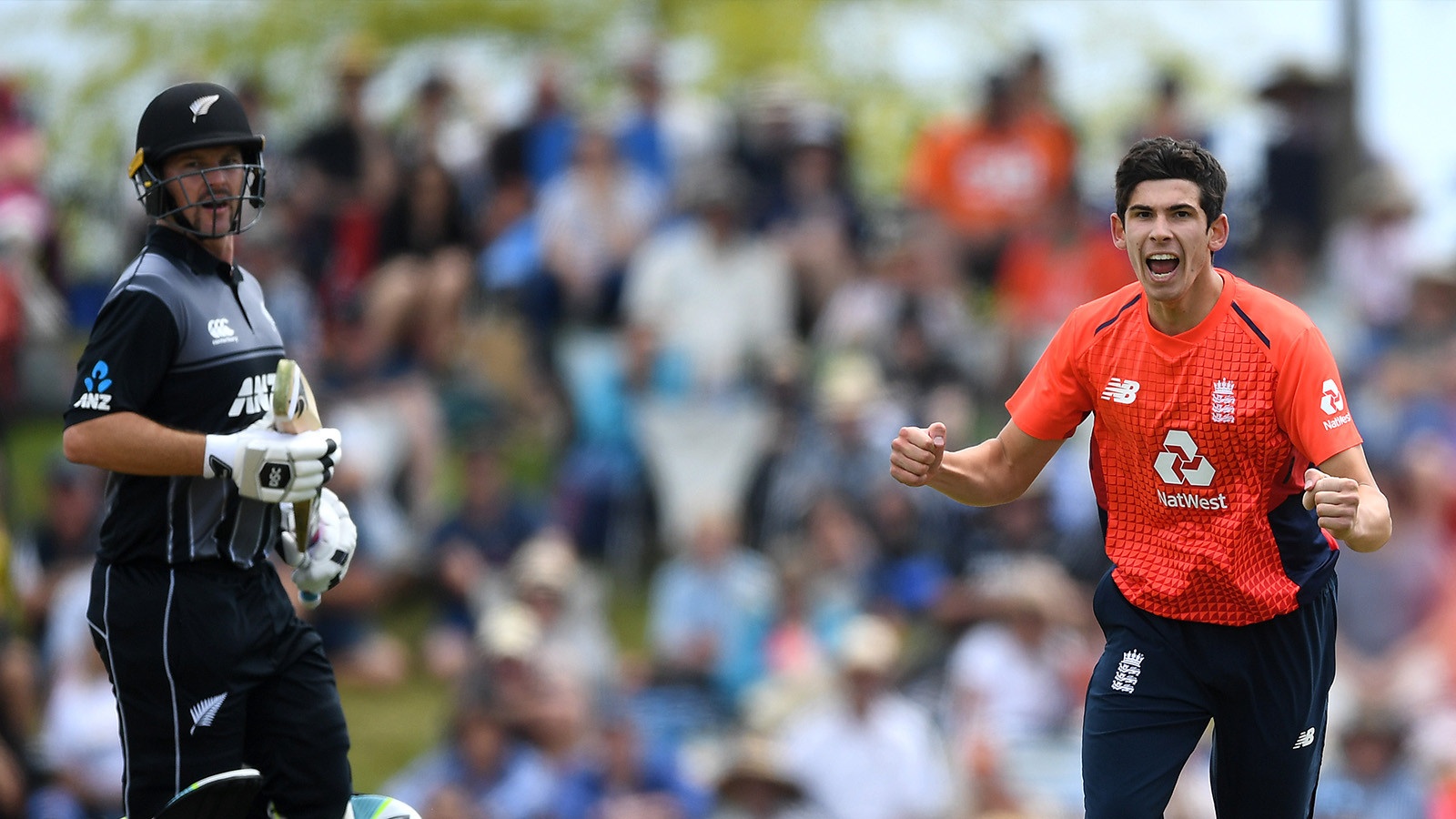 Getting To Know: Pat Brown