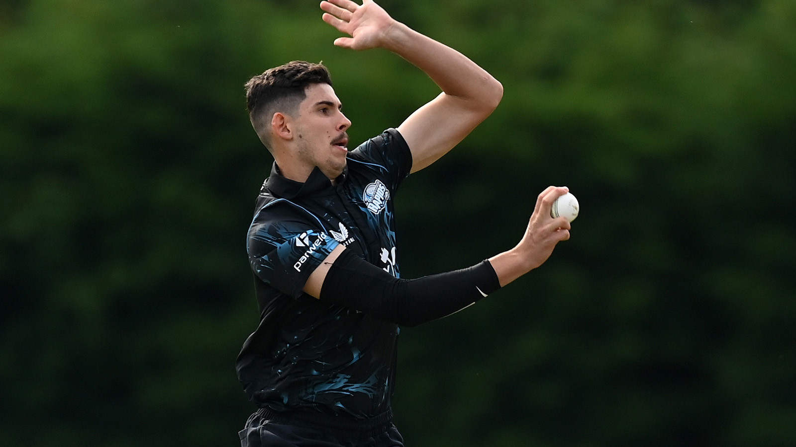 Brown arrives on loan