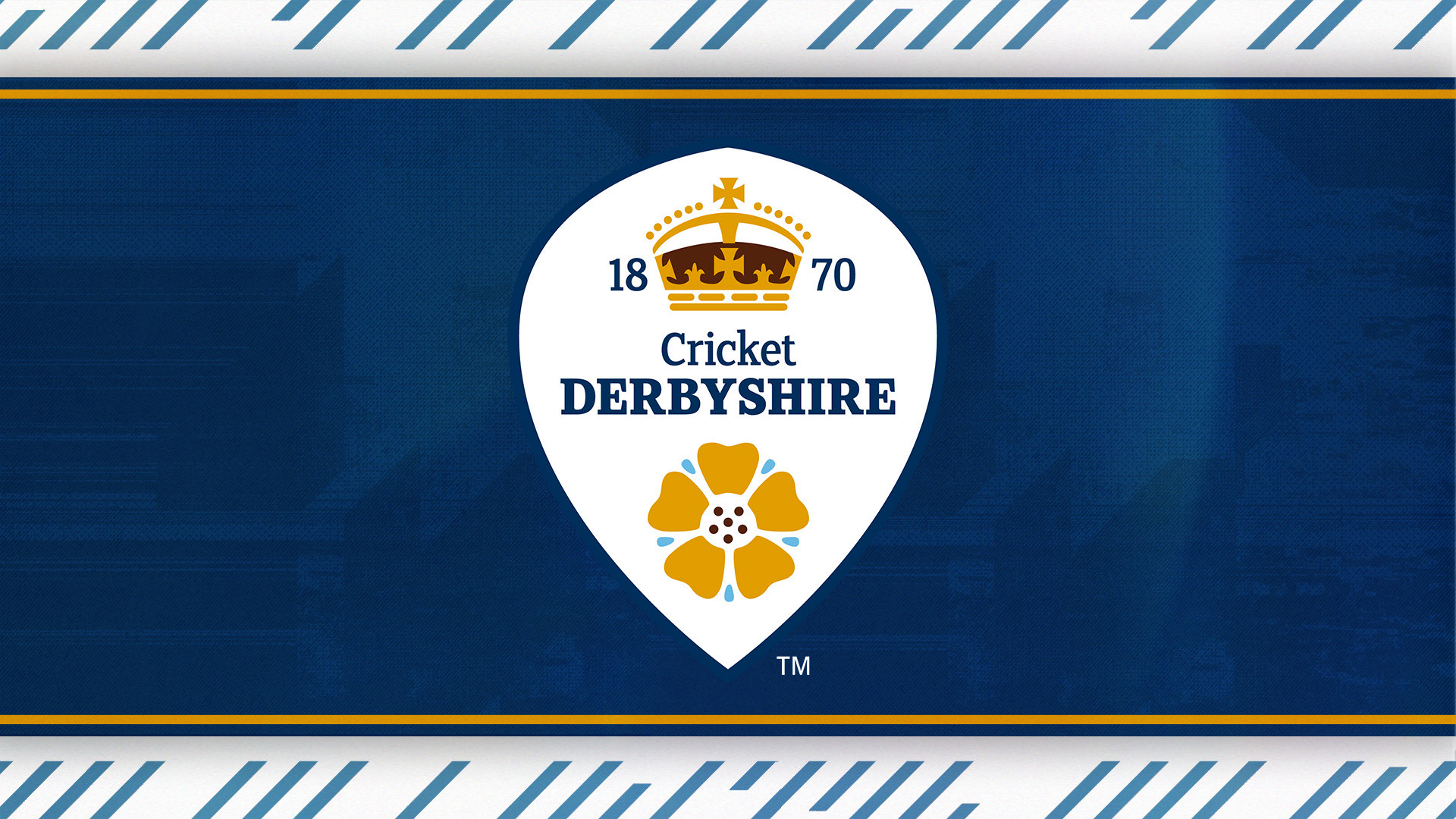 ECB sets out action to make cricket more inclusive following ICEC report