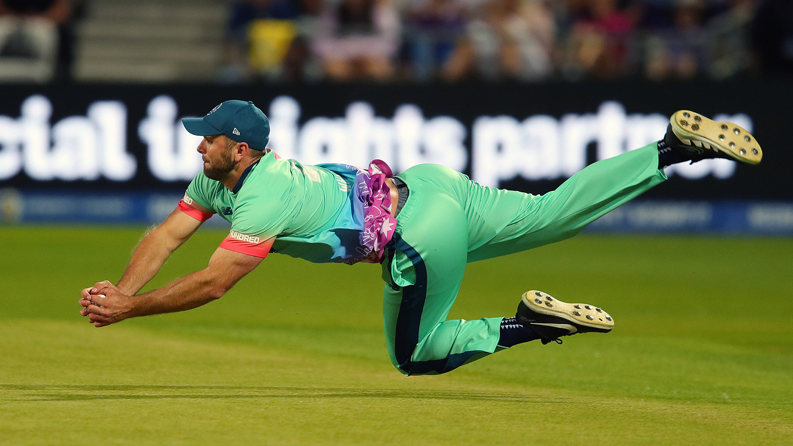 Getting to Know: Ross Whiteley