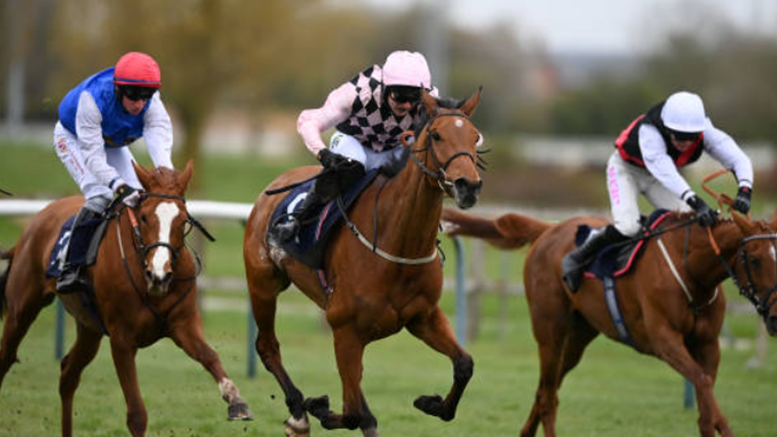 Southwell Racedays for Derbyshire Members confirmed