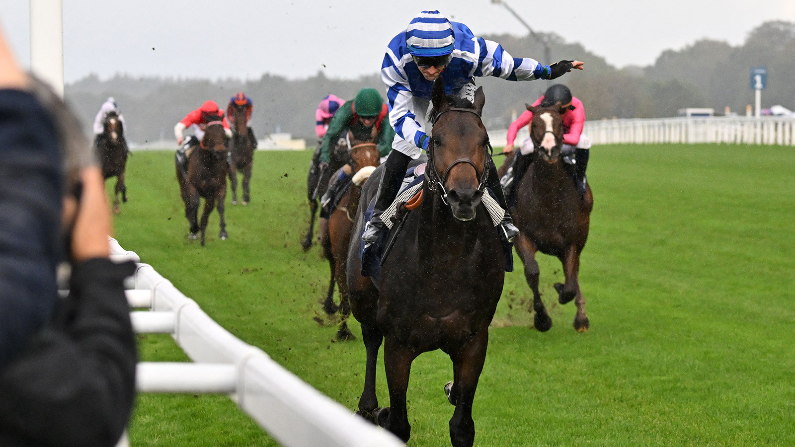 First free raceday at Uttoxeter coming up this weekend