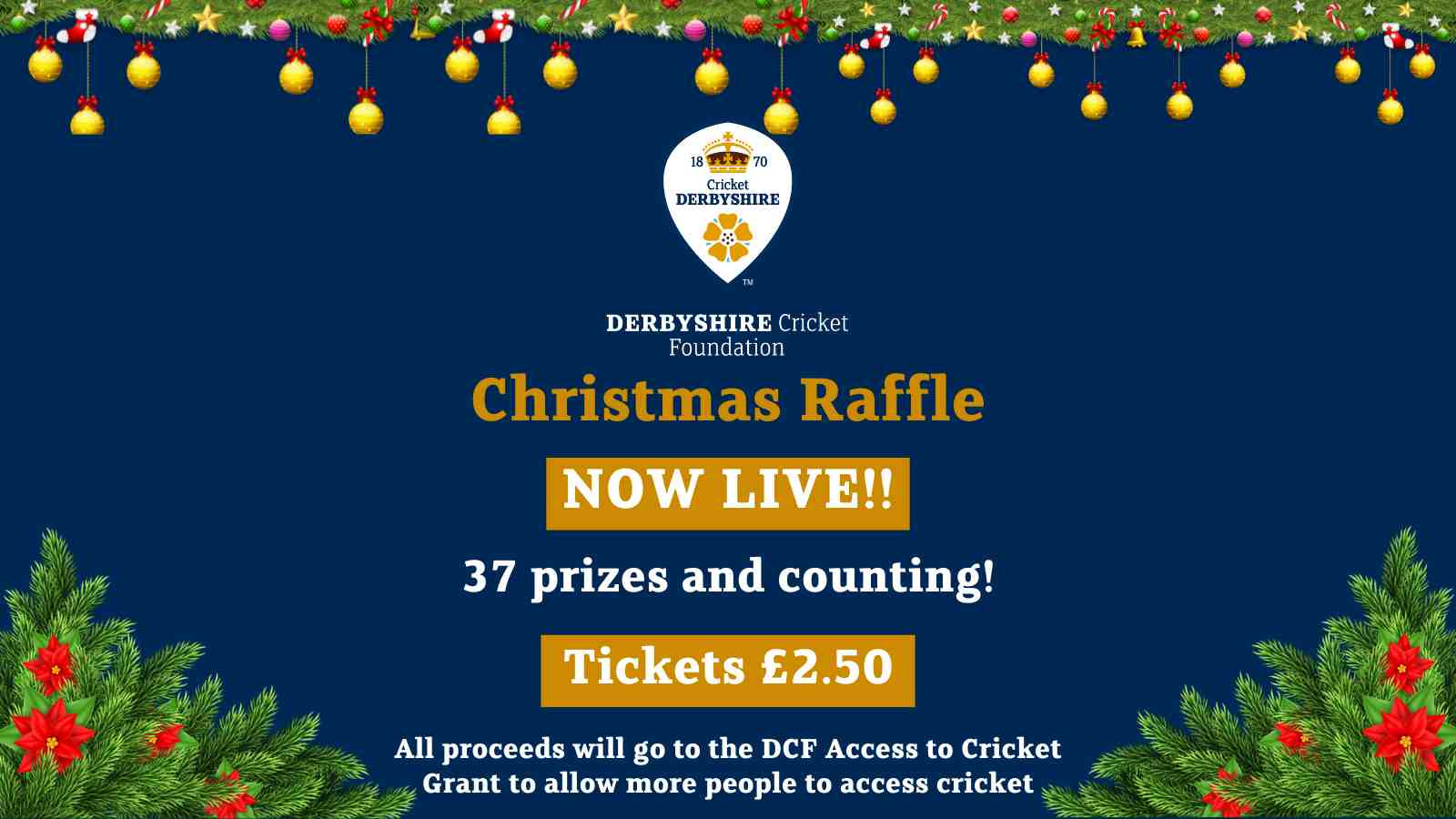 Derbyshire Cricket Foundation Christmas Raffle