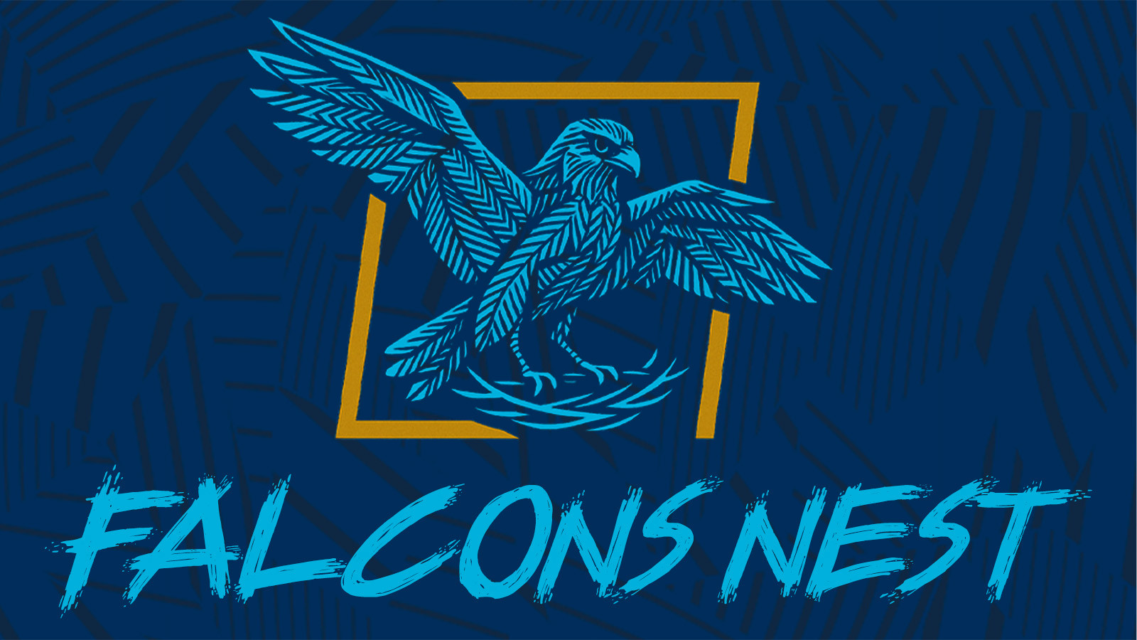 Derbyshire launches &#8216;Falcons Nest&#8217; Podcast