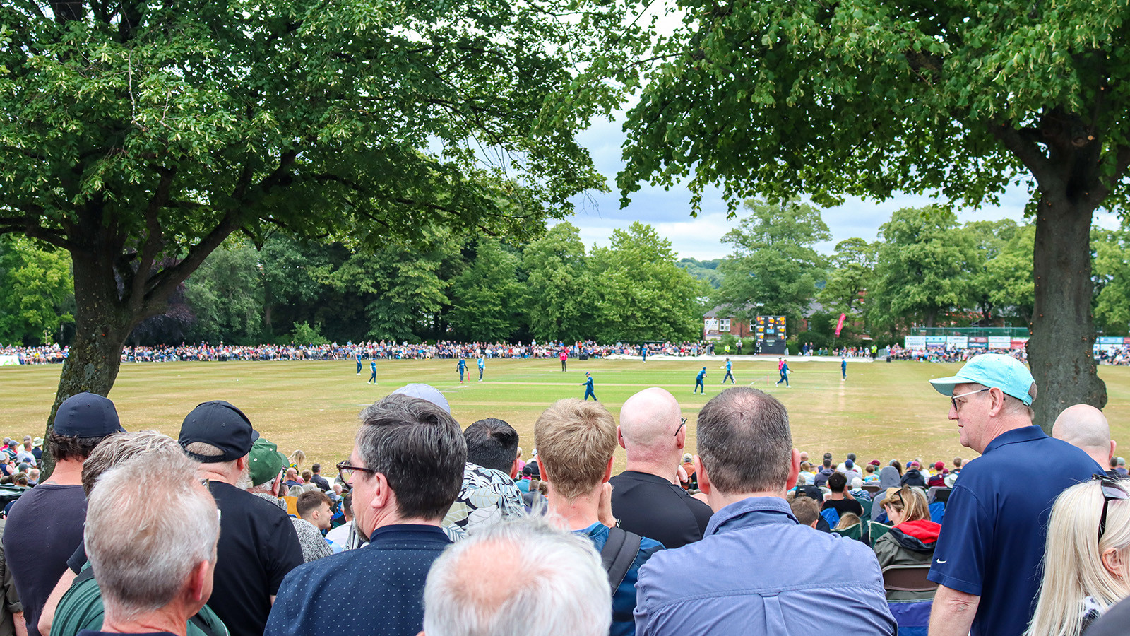 Historic Festival of Cricket thrills supporters in Chesterfield