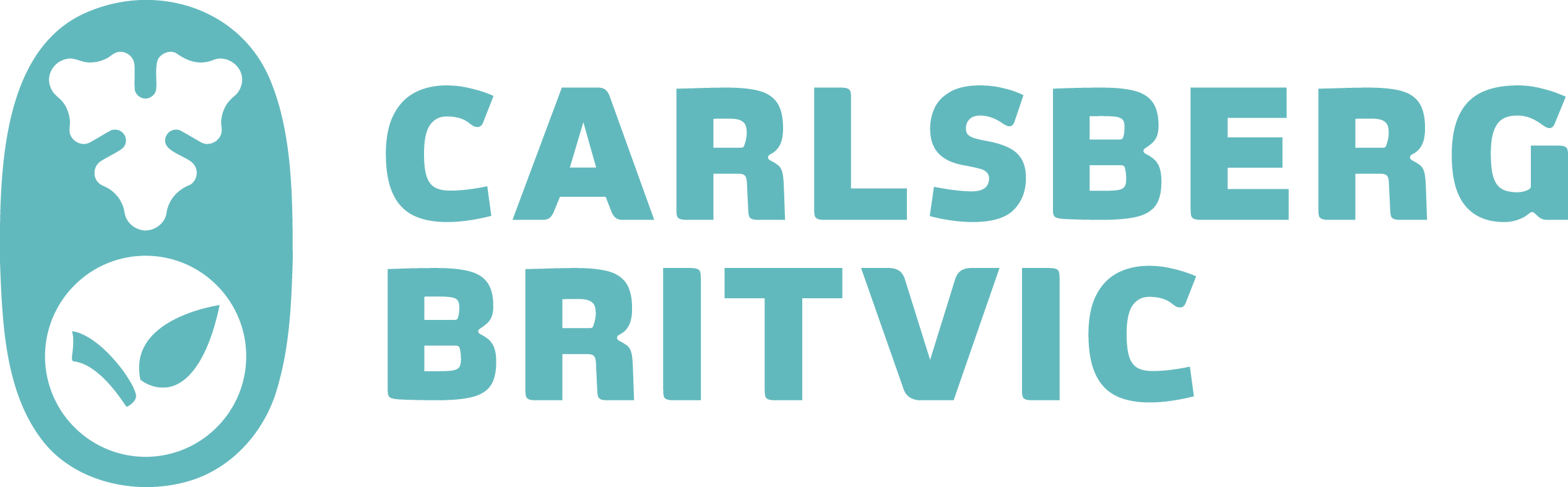 CB_Linear_BAqua_RGB (1)